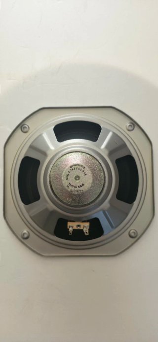 Woofer Pioneer
