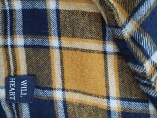 Dos camisas de cuadros tallas 12-14