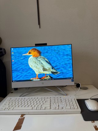 Ordenador HP All-in-One