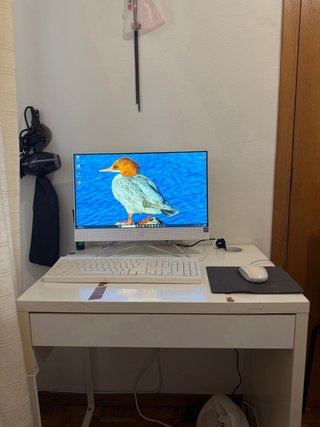 Ordenador HP All-in-One