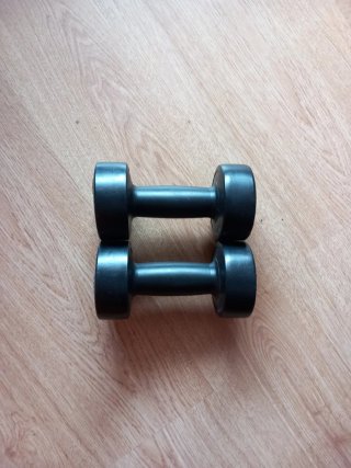 Pesas 1 kg (x2)