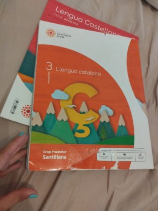 LLENGUA CATALANA 3 PRIMARIA CONSTRUINT MONS