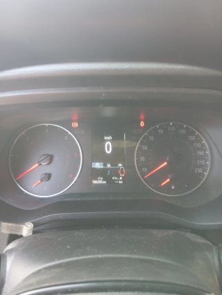Renault Trafic 2021