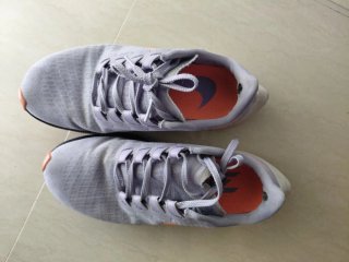 Nike Pegasus Zapatillas Deportivas Grises