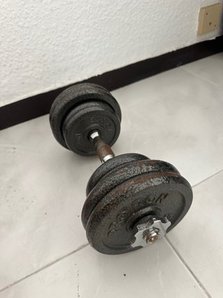 Banco de gimnasio y pesas