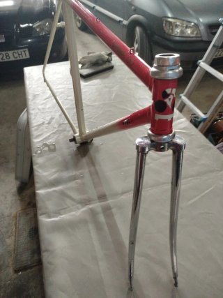 Cuadro Bicicleta Carretera Talla 49