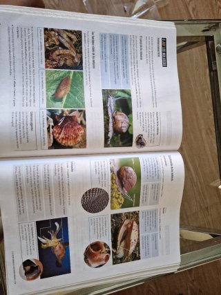 Biología Y Geología 1 Secundaria