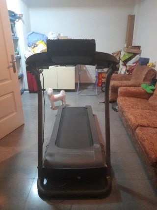 Cinta de correr