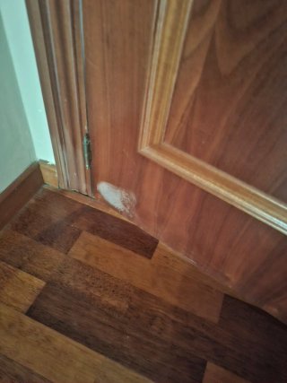 Puertas interiores de madera