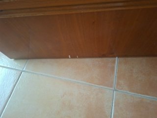 Puertas interiores de madera