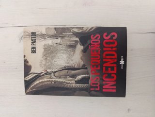 Libro - Los pequeños incendios