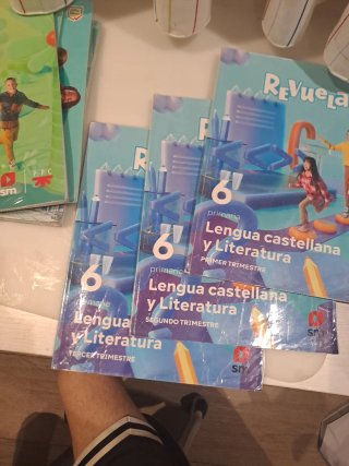 Lengua Castellana y Literatura . 6 Primaria. Tr...