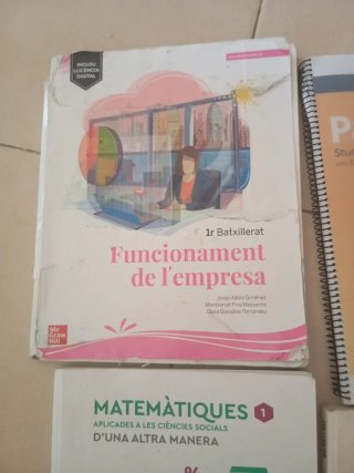 MATEMÀTIQUES APLICADES A LES CIÈNCIES SOCIALS I