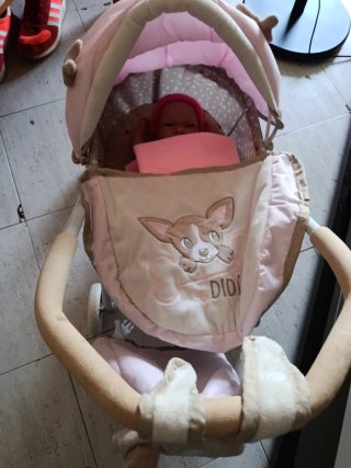Cochecito rosa con todos sus complemetos y muñeca