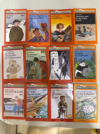 Lote libros Vaixell de Vapor en Català