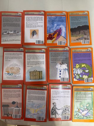 Lote libros Vaixell de Vapor en Català