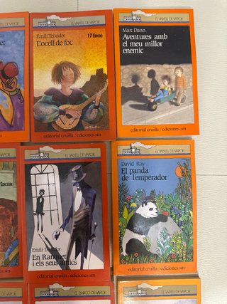 Lote libros Vaixell de Vapor en Català