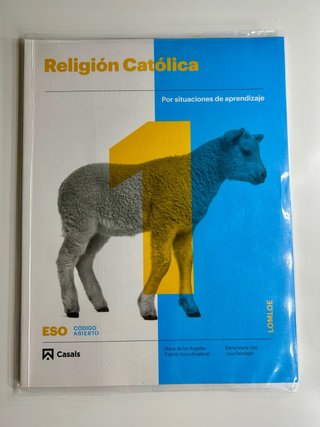 Religión Católica, por situaciones de aprendiza...