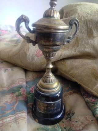 Trofeo antiguo Platta20 cm