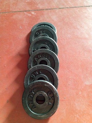 14 dischi da 1 kg