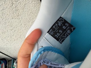 BAPE sta low blu
