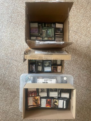 Lotto carte Magic The Gathering comuni