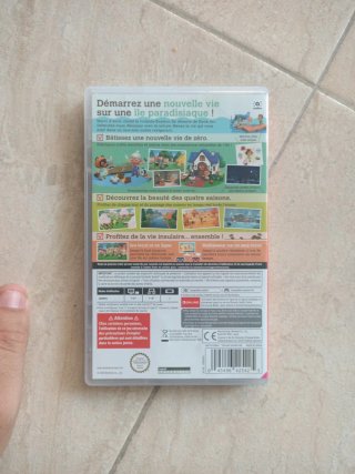 Animal Crossing Switch