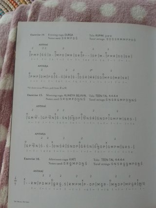 Sitar instrumento