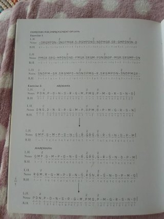 Sitar instrumento