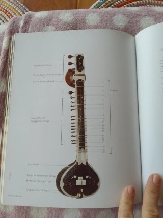 Sitar instrumento