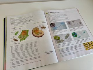 Biología y Geología. 1°ESO SM