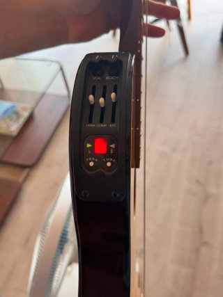 Guitarra Variax Line 6 Acústica 300
