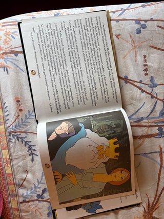 Cuento ilustrado Señor de los Anillos 1980