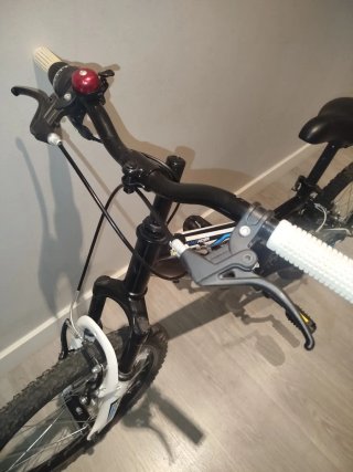 Bicicleta Infantil 20 Pulgadas