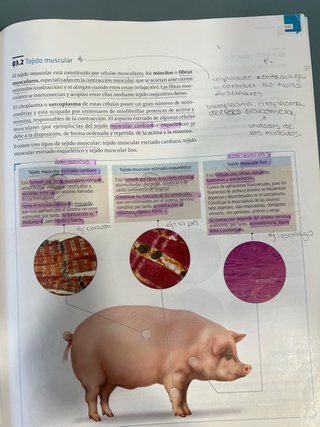 Biología y geología, ciencias, Bachillerato 1