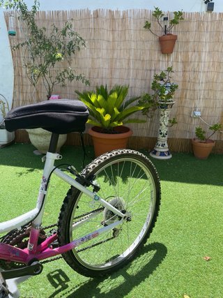 Bicicleta Niña (Solo en persona)