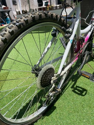 Bicicleta Niña (Solo en persona)