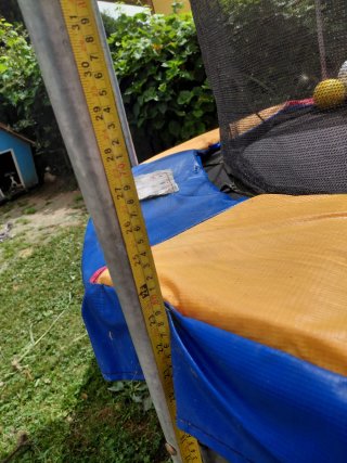 Cama elástica 2,50m con red de seguridad