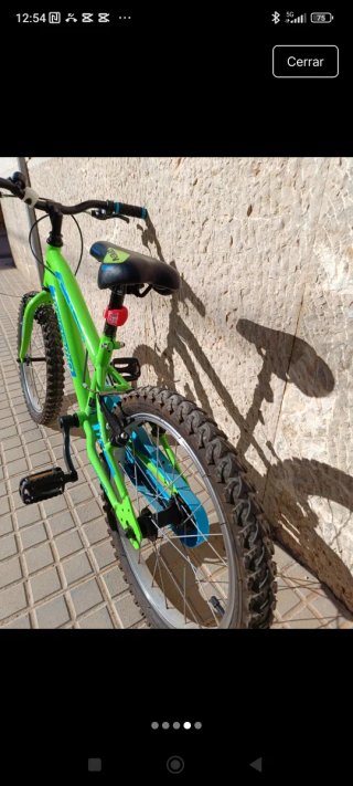 Bicicleta infantil verde