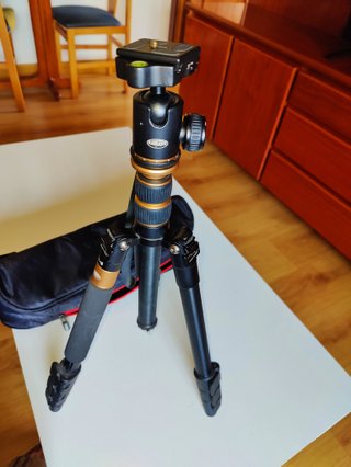 Canon EOS R + RF 35mm f1.8 + adaptador EF-EOS R