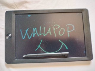 Pantalla LCD 8.5 para escribir