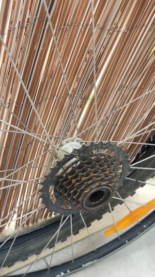 Ruedas Bicicleta Aro 17 Alu Mavic Válvula Neumátic