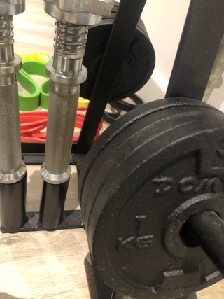 Barra, discos y bandas de gimnasio