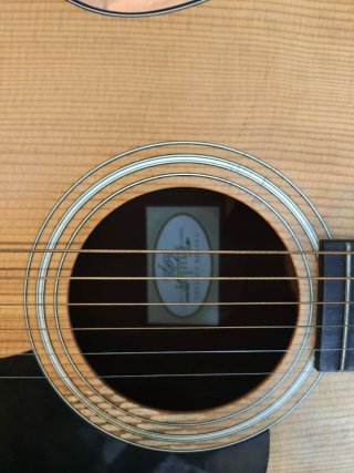 Guitarra Acústica Taylor con Funda