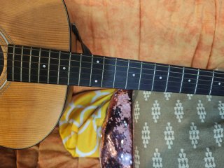Guitarra Acústica Taylor con Funda