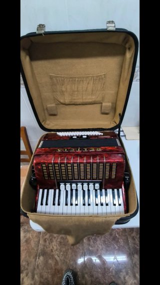 Fisarmonica a 80 bassi