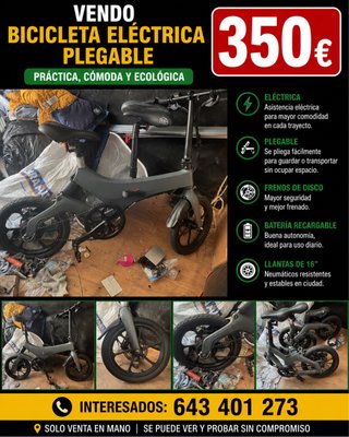 Bicicleta Eléctrica Plegable 300