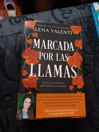 Guardiana del fuego,marcada por las llamas...