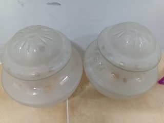 Pareja de tulipas de cristal esmerilado forma piña