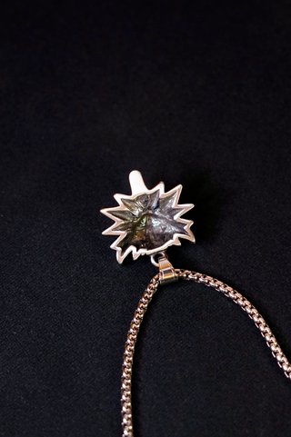 Collana The Witcher Lupo Box Chain • Collar Lobo